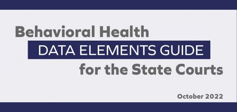 Behavioral Health Data Elements Guide