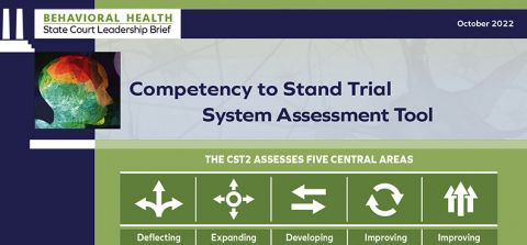 Competence to Stand Trial System Assessment Tool