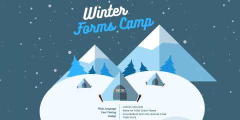 Improving court forms: lessons learned from Forms Camp