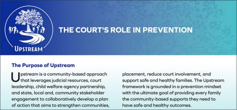 The Court's Role in Prevention