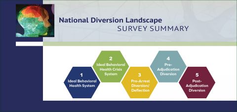 National Diversion Landscape Survey Summary