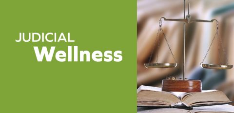 Judicial Wellness