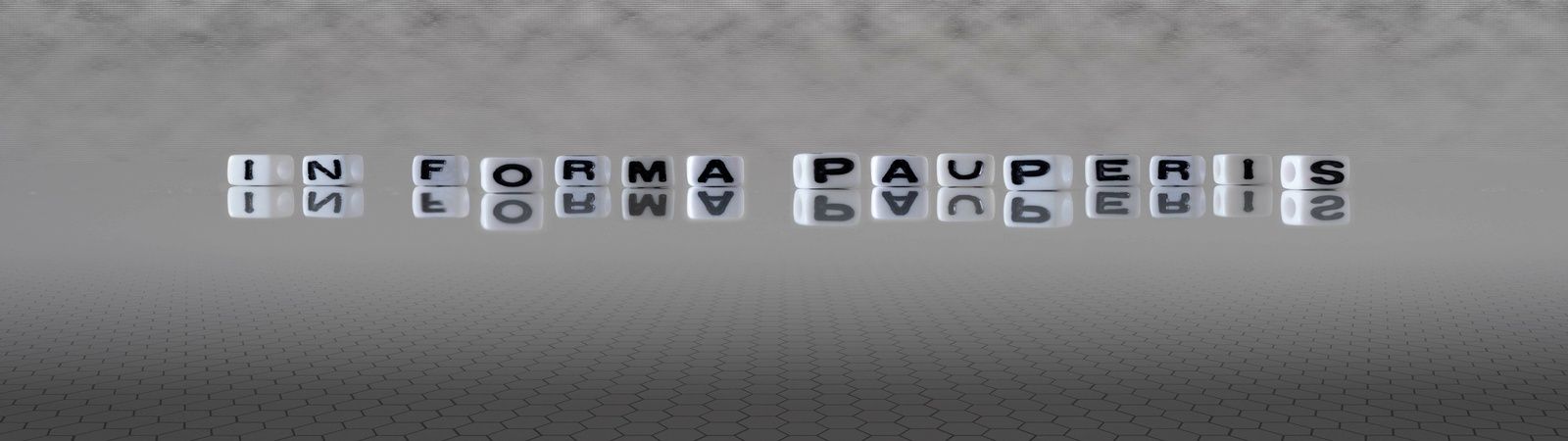 image of word in forma pauperis banner image
