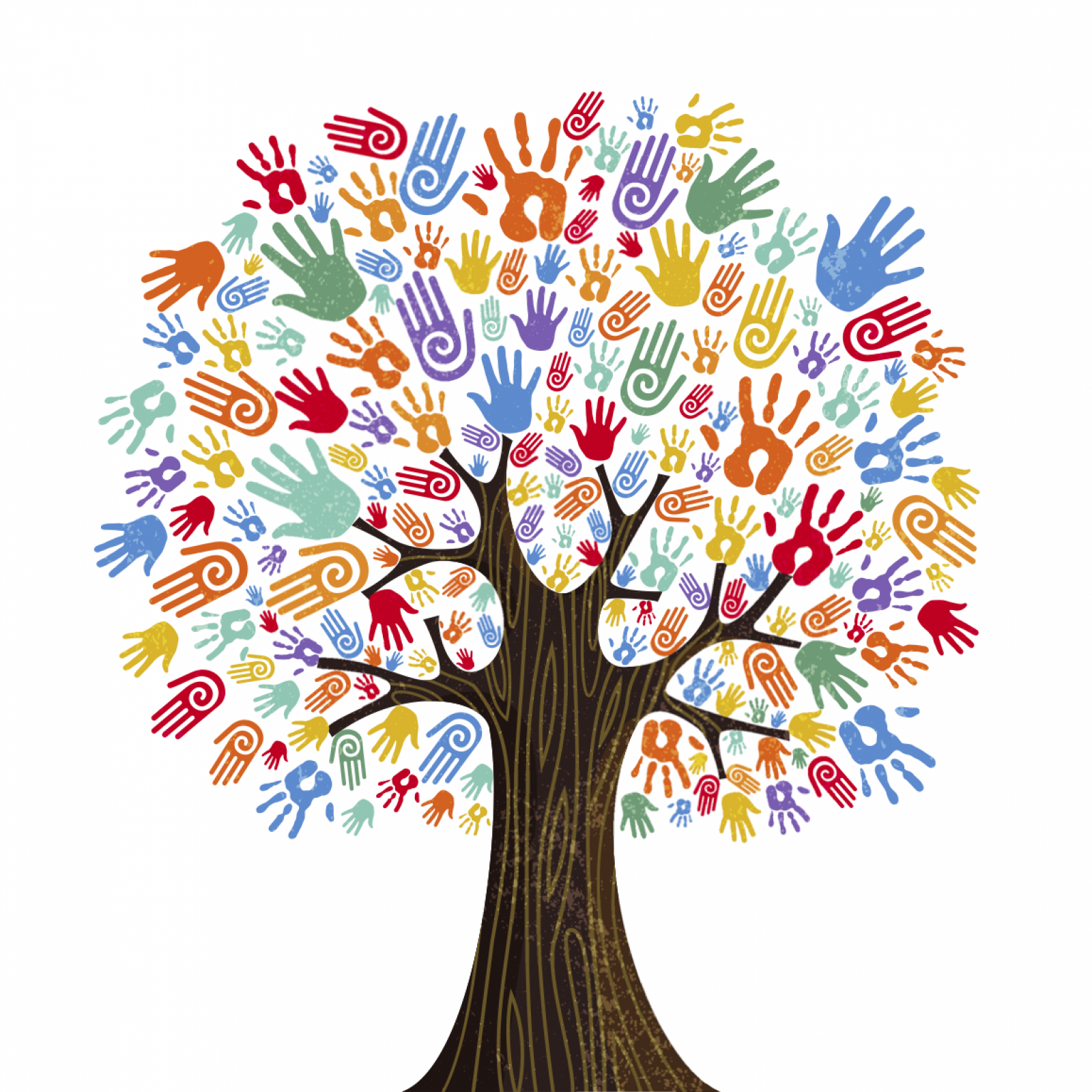 diversity tree banner image