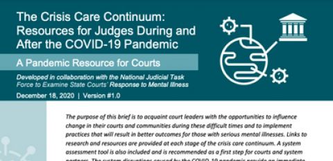 Resources for Judges During and After the Pandemic