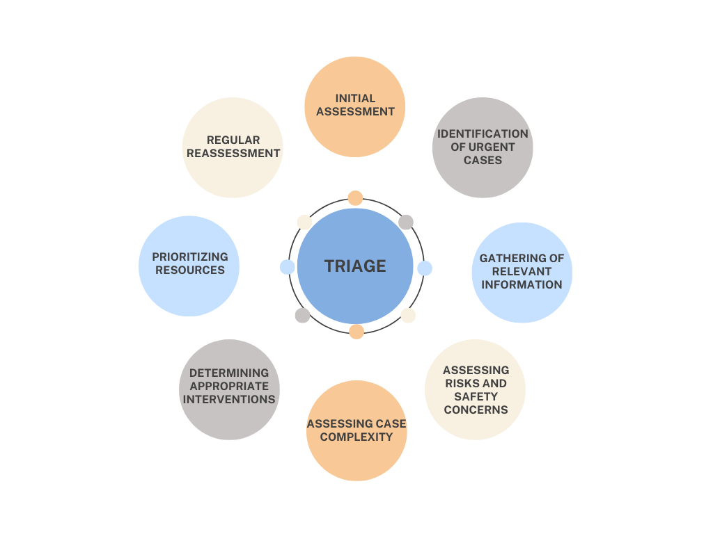 Triage Common Elements Diagram