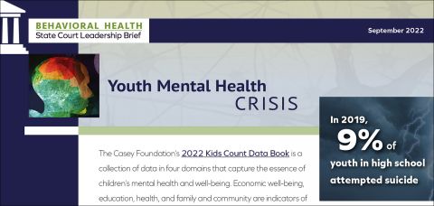 Youth Mental Health Crisis