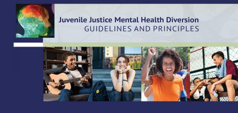 Juvenile Justice Mental Health Diversion