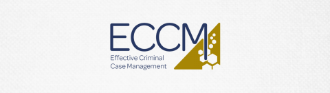 Effective Criminal Case Management