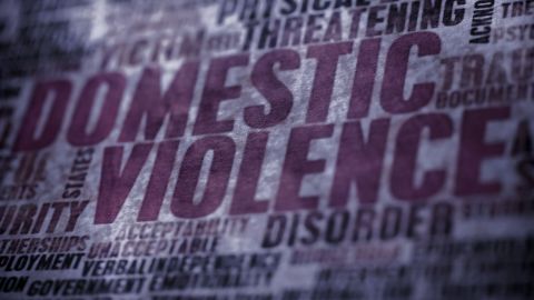 Webinar: E-filing domestic violence protection orders - Safety, accessibility and effectiveness