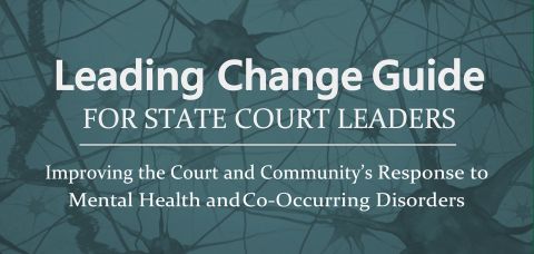 Leading Change Guide for State Court Leaders