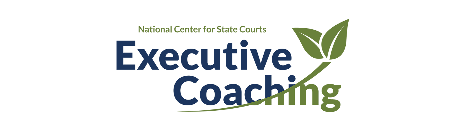 Large image for Executive Coaching banner image
