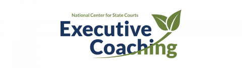 Executive Coaching equips court leaders with new leadership tools