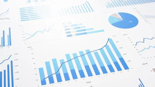 Data charts graphic
